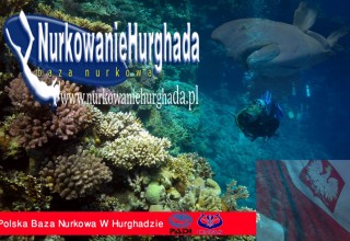 Kurs Nurkowania Hurghada